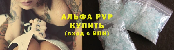 СК Волоколамск