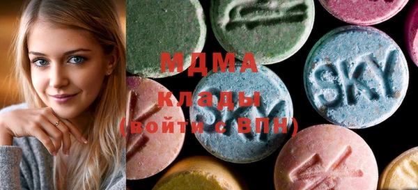 гашик Туринск