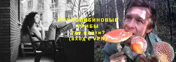 дмт Верхний Тагил