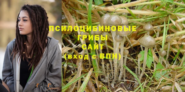 дмт Верхний Тагил